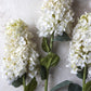 ARTIFICIAL HYDRANGEA PANICULATA, CREAM