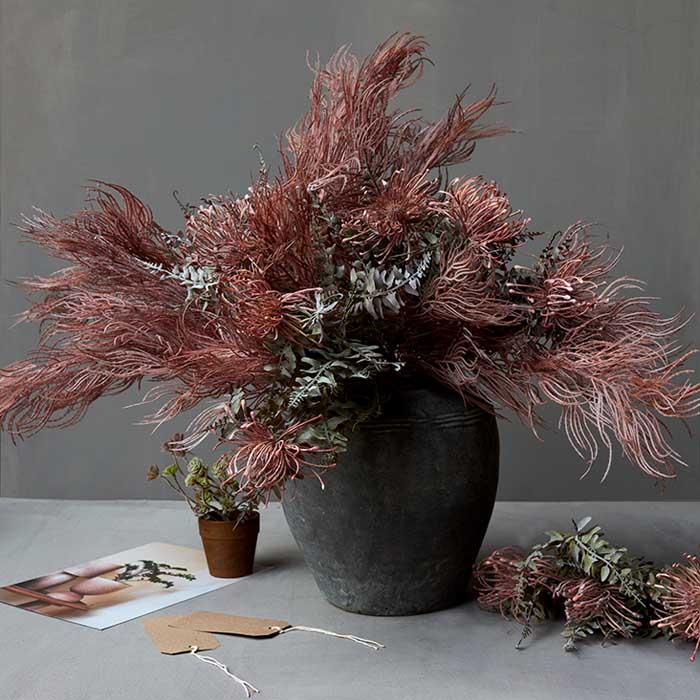 LEUCOSPERMUM BUSH