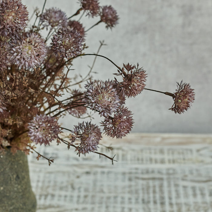 MELALEUCA PURPLE