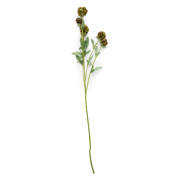ARTIFICIAL SCABIOSA - *Pre-Order* - Shipping January 2026