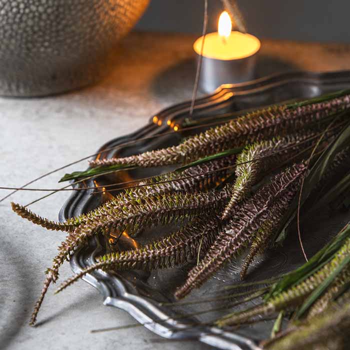 ARTIFICIAL VERONICA BUNCH