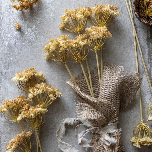 YARROW BUNCH