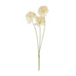 ARTIFICIAL ALLIUM CREAM BUNCH - In Stock