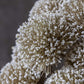 ARTIFICIAL ALLIUM BUNCH, WHITE