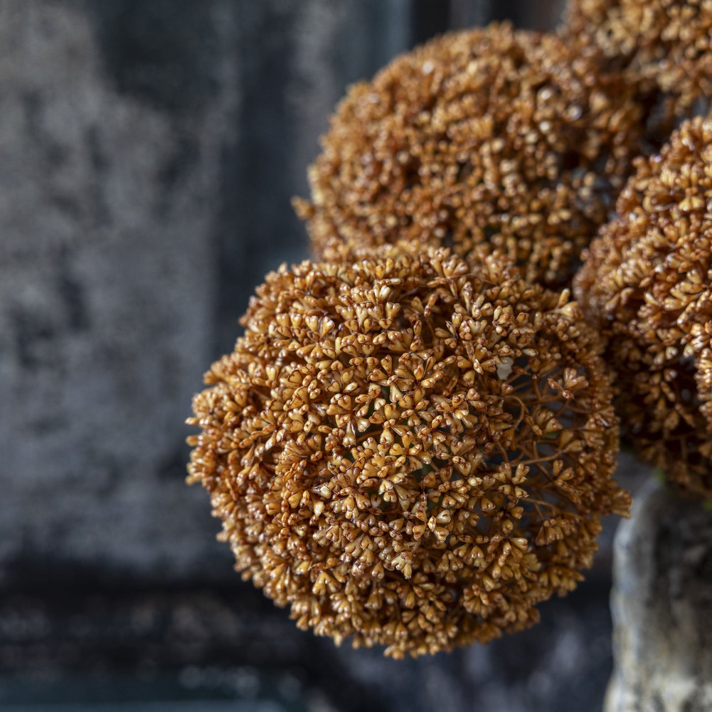 ARTIFICIAL ALLIUM, UMBER