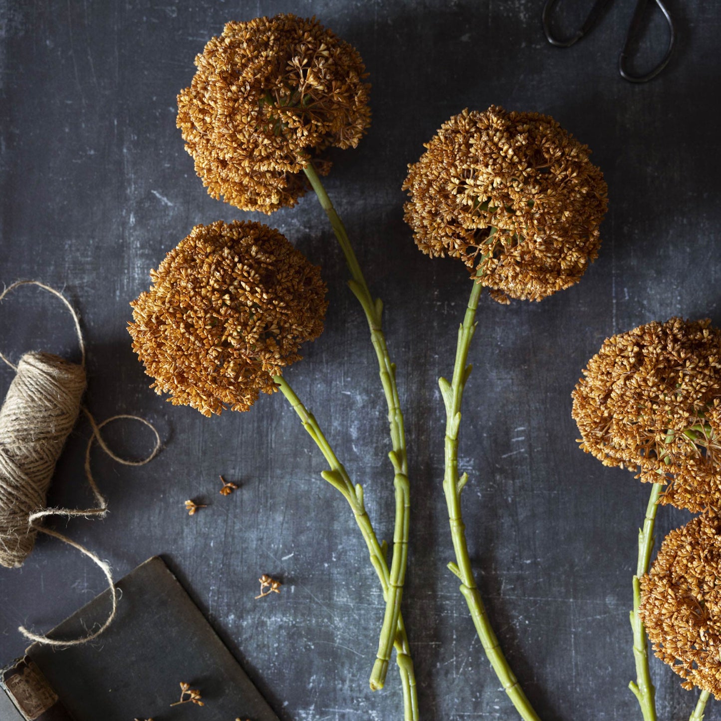 ARTIFICIAL ALLIUM, UMBER