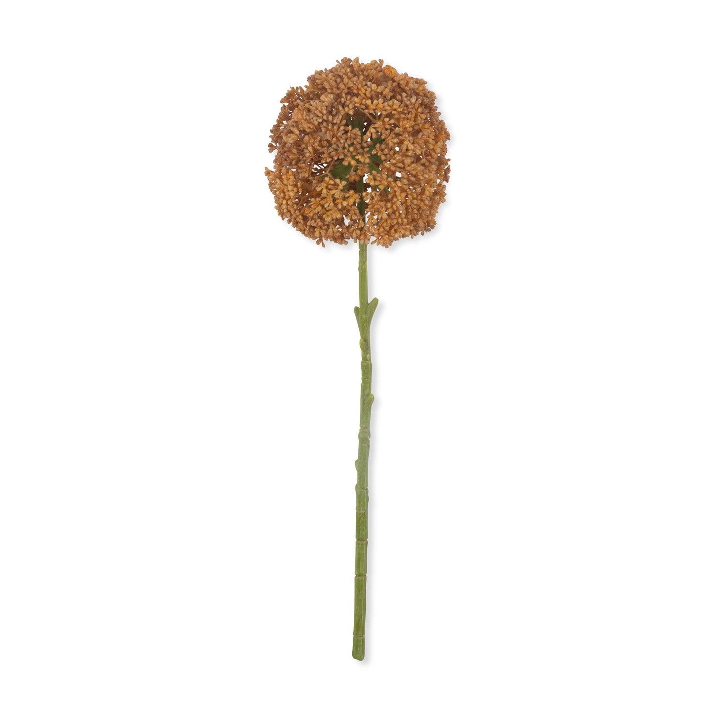 ARTIFICIAL ALLIUM, UMBER