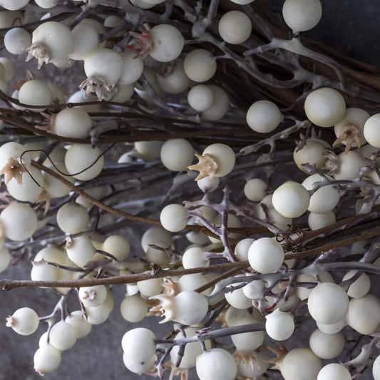 ARTIFICIAL BERRY WREATH, CREAM - *Pre-order* SHIPPING July 2026