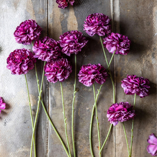 ARTIFICIAL CARNATION PURPLE