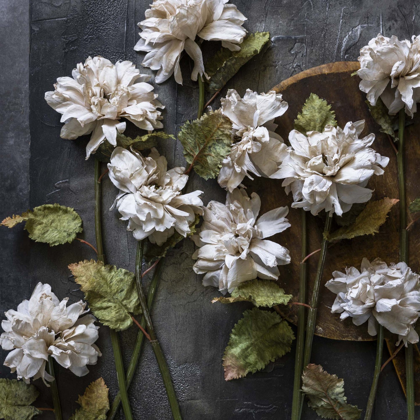 ARTIFICIAL DAHLIA, EVENING DEW