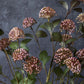 ARTIFICIAL EUCALYPTUS BERRY - *Pre-order* SHIPPING June 2026