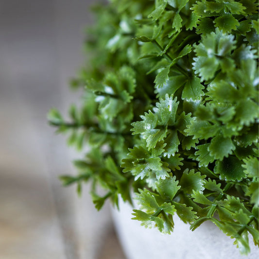 ARTIFICIAL HEBE PLANT IN POT