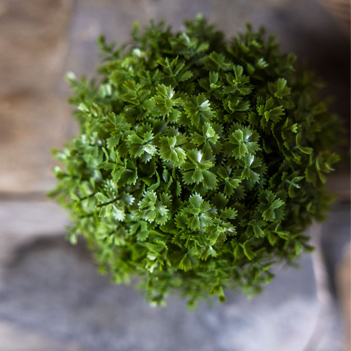 ARTIFICIAL HEBE PLANT IN POT