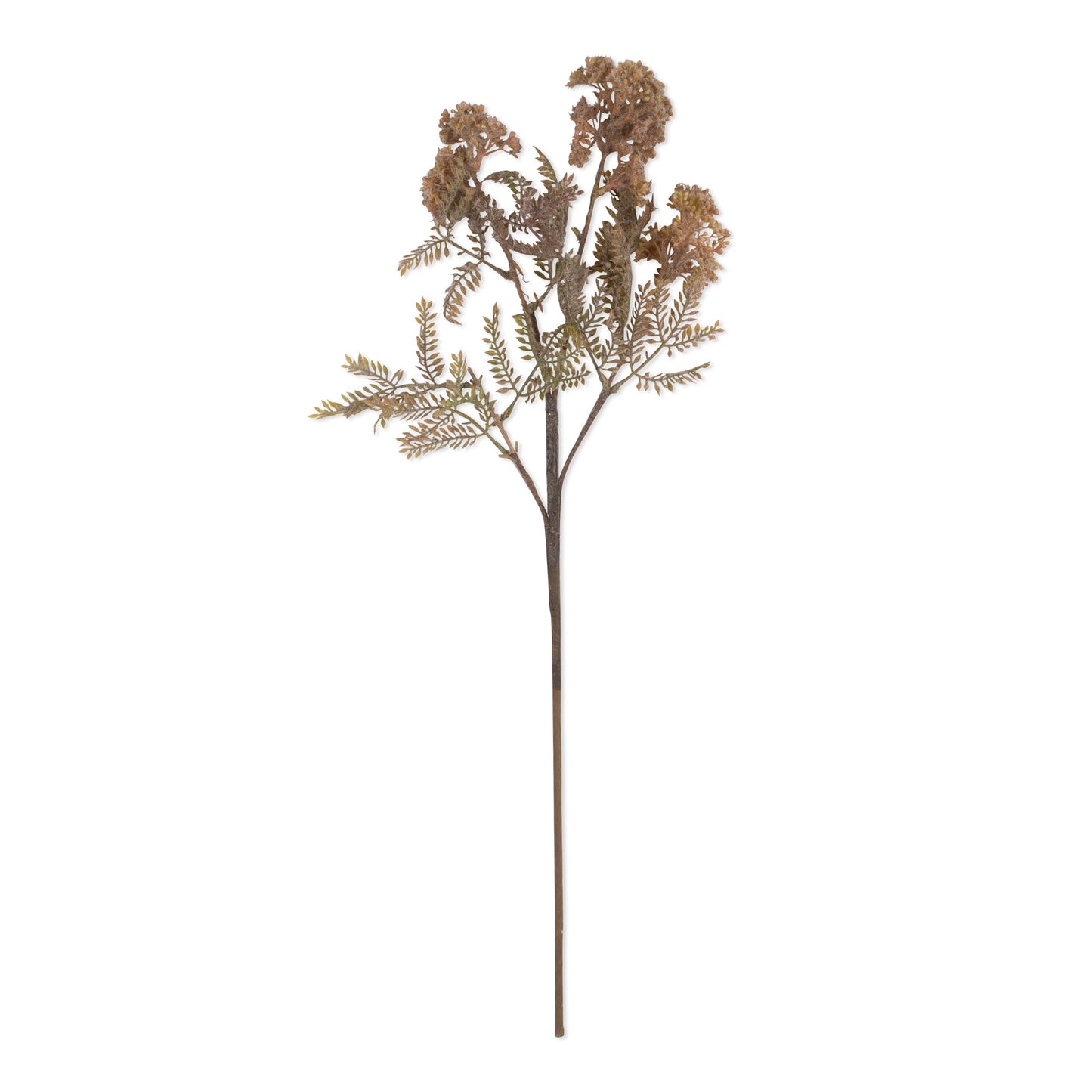 ARTIFICIAL HEMLOCK