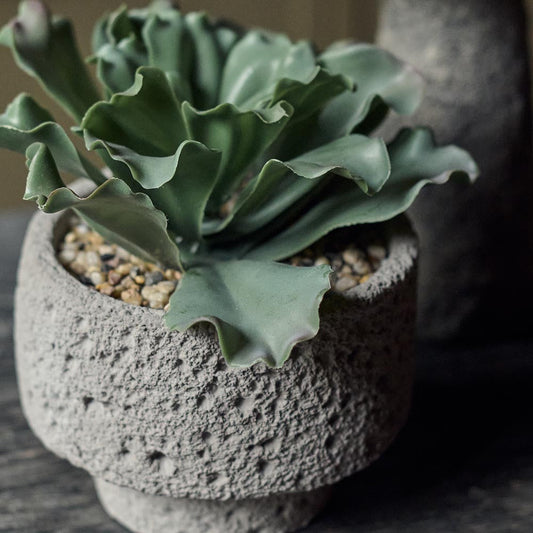 ARTIFICIAL KALANCHOE