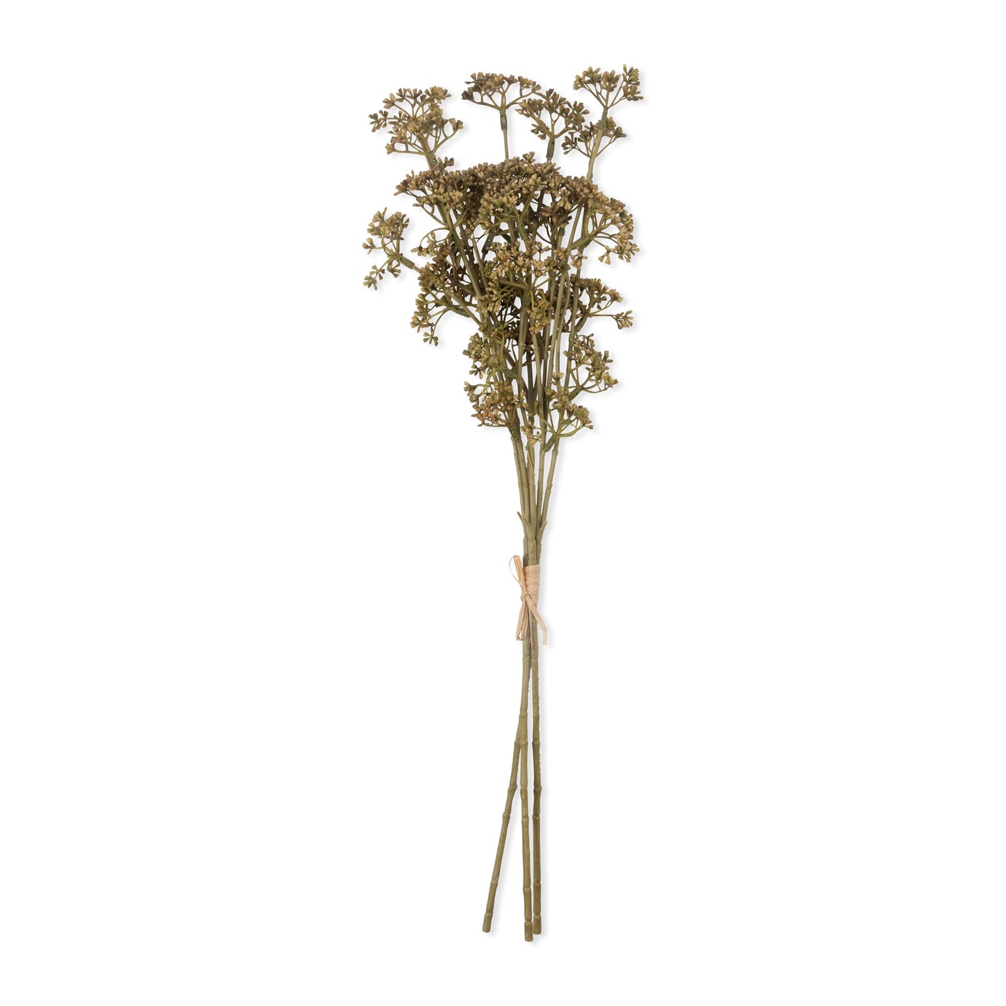 MEADOW SEDGE - NATURAL