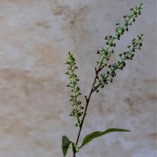 ARTIFICIAL MYRTLE