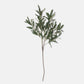 ARTIFICIAL OLIVE BRANCH, SOFT GREEN - *Pre-Order* - Shipping January 2026