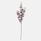 ARTIFICIAL ONSIDIUM ORCHID - *Pre-Order* - Shipping January 2026
