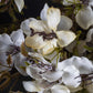 ARTIFICIAL PRUNUS BLOSSOM, CREAM