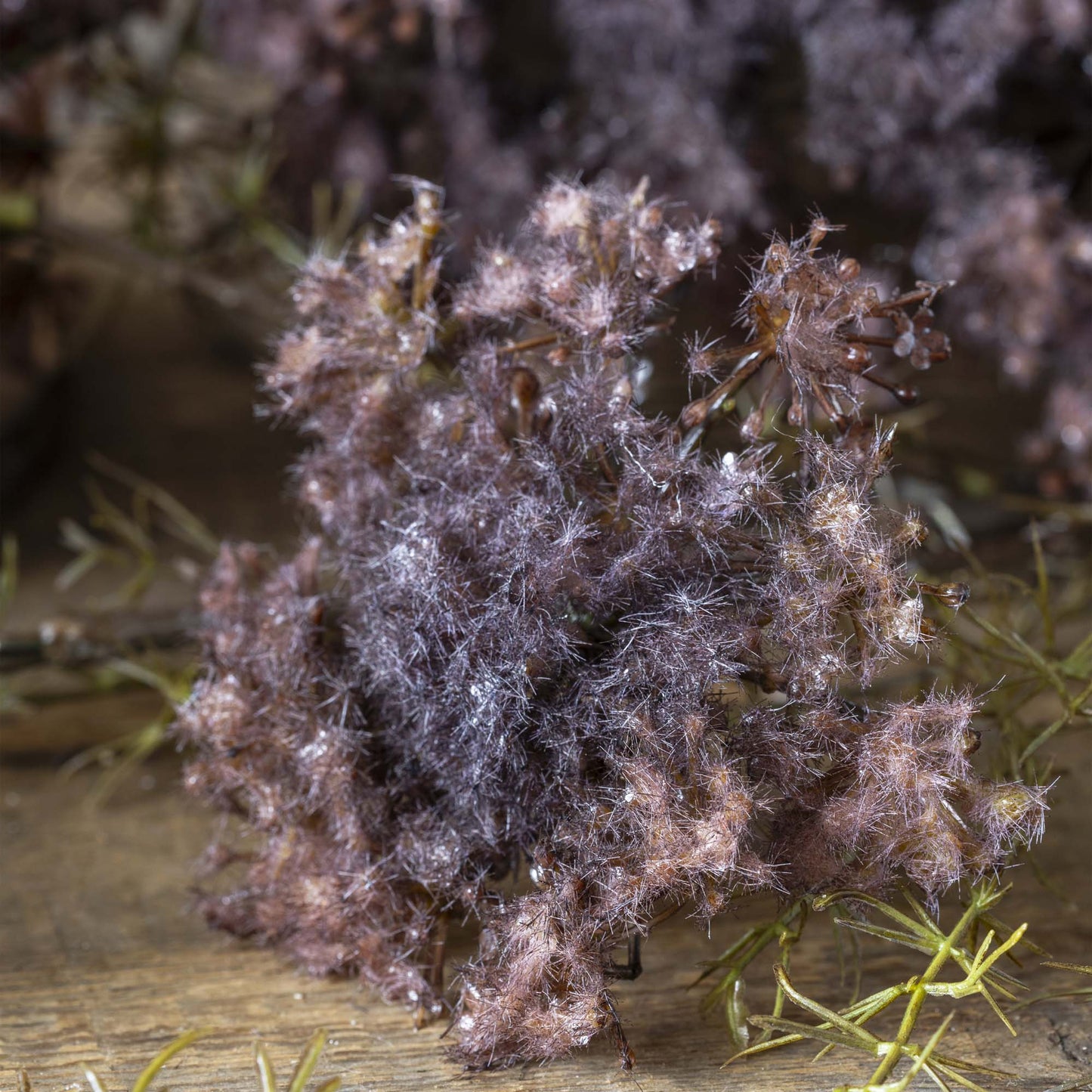 ARTIFICIAL QUEEN ANNE'S LACE, PURPLE