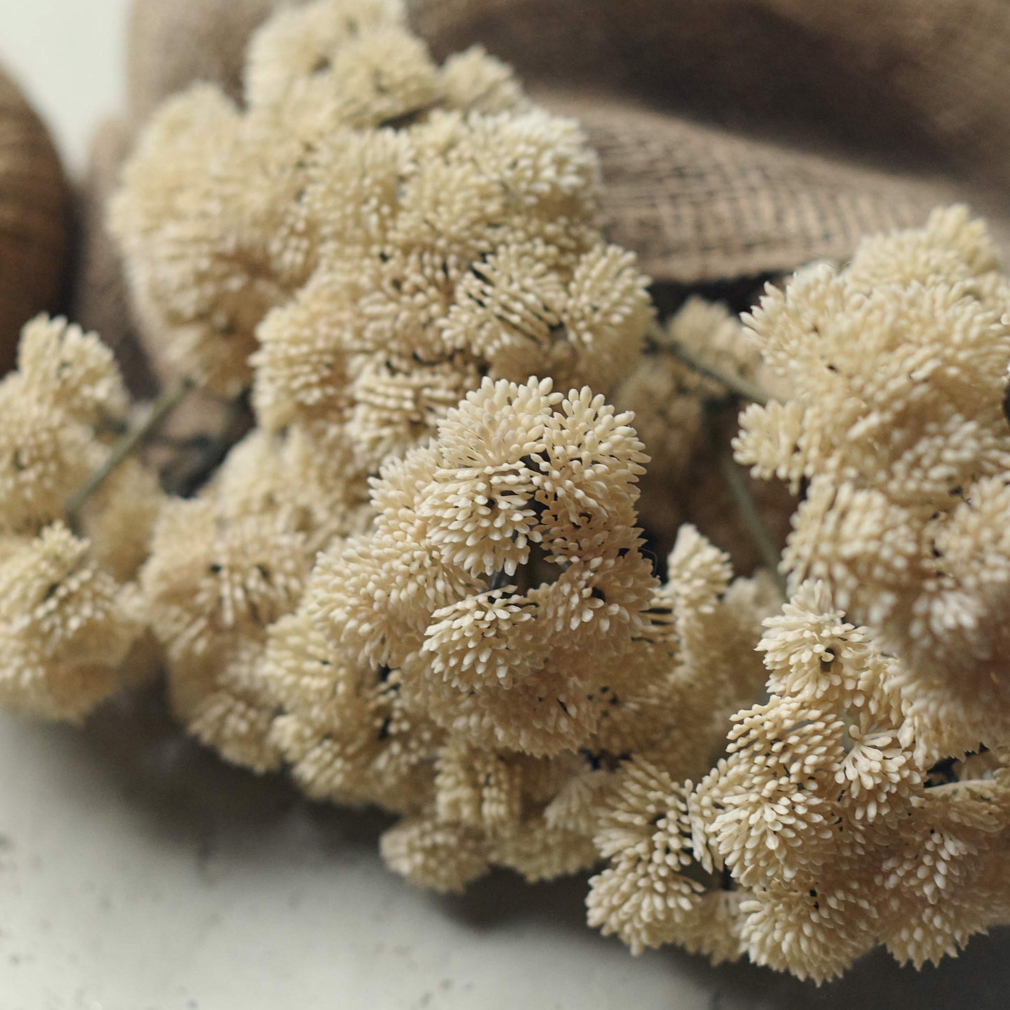 ARTIFICIAL SEDUM CREAM - In Stock