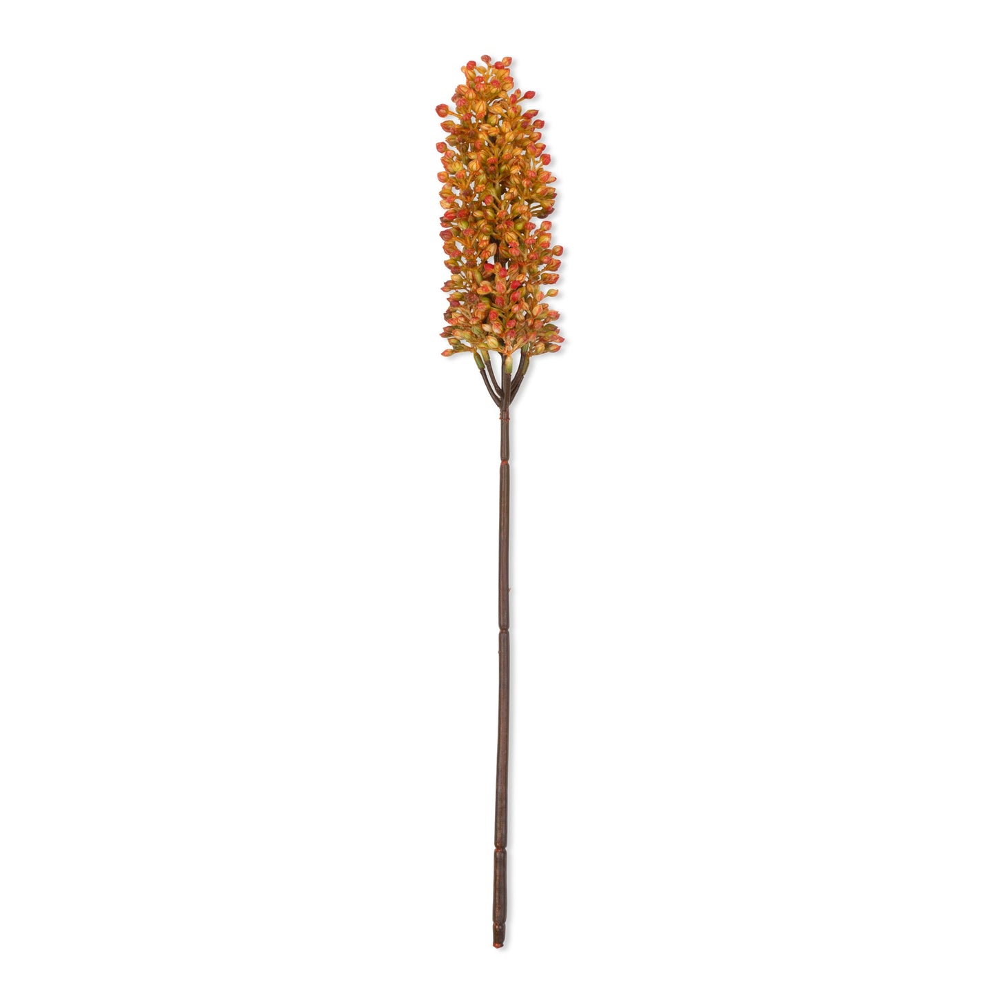 ARTIFICIAL SORGHUM STEM, SUNSET