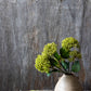 ARTIFICIAL VIBURNUM OLIVE - *Pre-Order* - Shipping December 2025