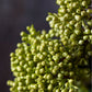 ARTIFICIAL VIBURNUM OLIVE - *Pre-Order* - Shipping December 2025