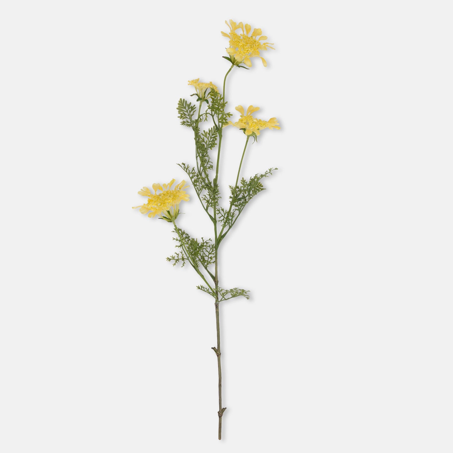 ARTIFICIAL WILD DILL *Pre-Order* - Shipping January 2026