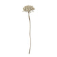 ARTIFICIAL YARROW STEM, CREAM