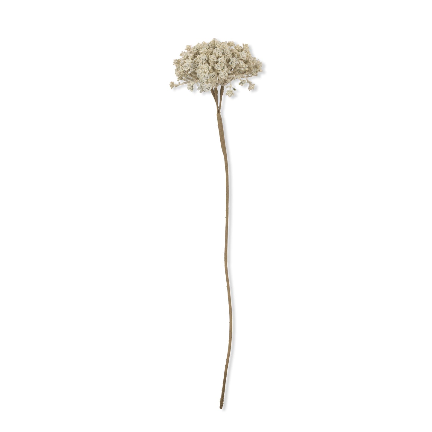 ARTIFICIAL YARROW STEM, CREAM